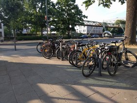 Fahrräder stehen um einen Baum